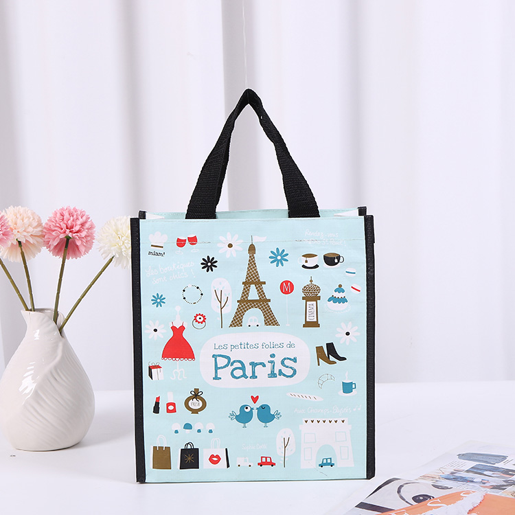 Sacs fourre-tout laminés colorés