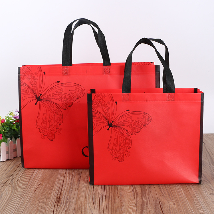 Petit sac à main non tissé